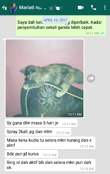 Kesayangan Mariati Kembali Aktif Selapas Lima Hari  PS Herbs