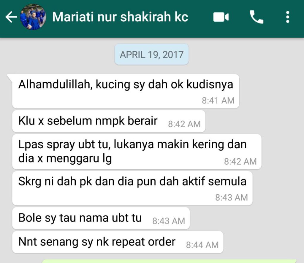 Pn Mariati melapurkan bahawa kucing berkudis aktif kembali telah sembuh selepas lima hari guna ubat Spray F7.