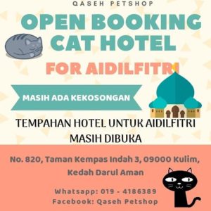 cat lover hotel