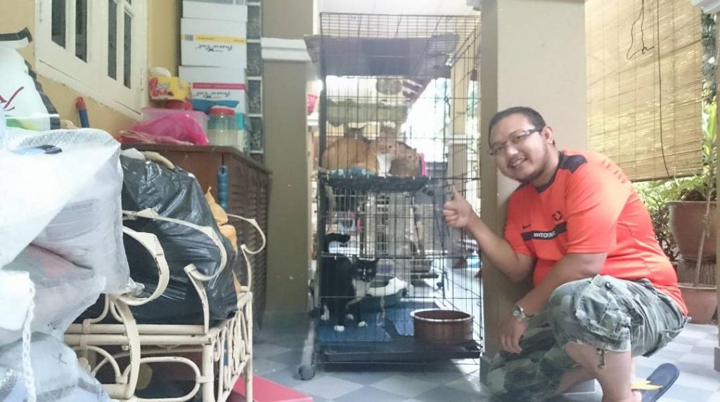 Felin purrfect store juga sediakan perkhidmatan pet sitting dan boarding