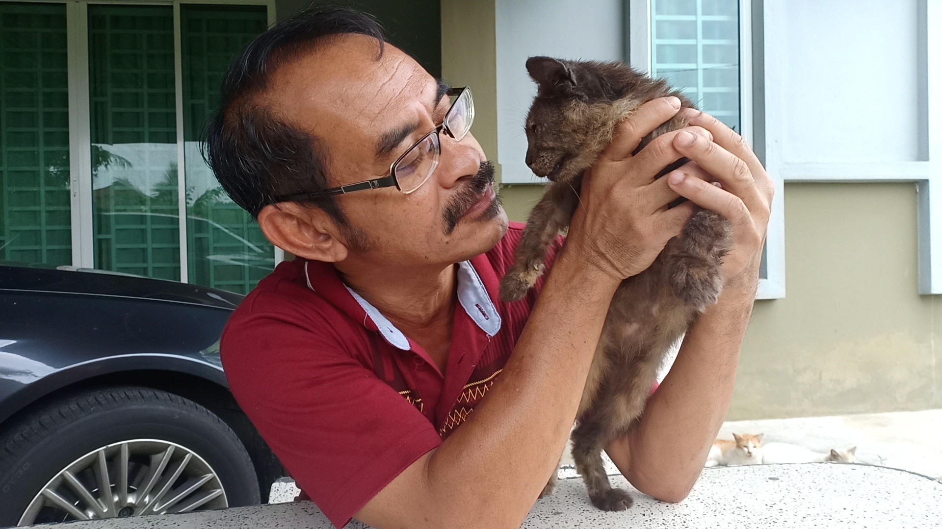 Kucing Kurap Scabies dan rawatan  PS Herbs Penyakit