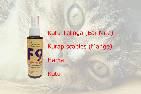 Ubat Spray F9  PS Herbs Produk