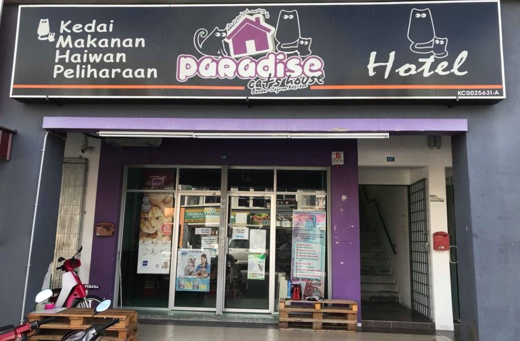 Paradise cats house sungai Petani, Kedah