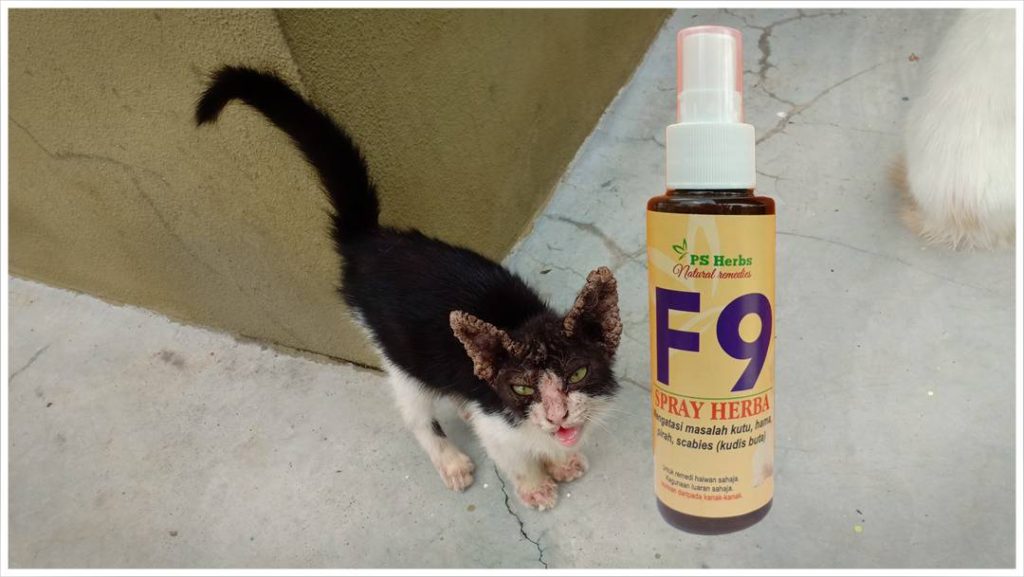 Ubat Spray F9  PS Herbs Produk