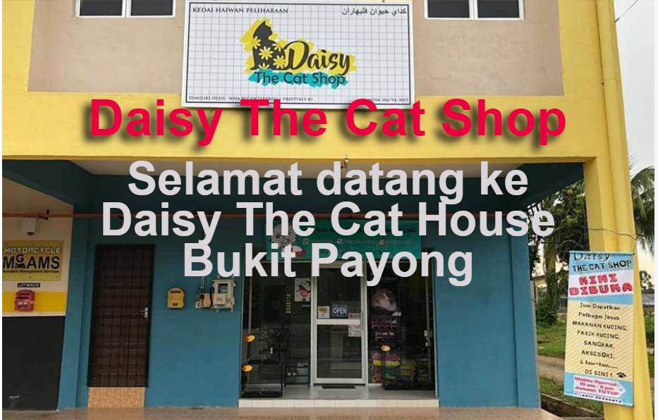Ubat PS Herbs dijual di Daisy The Cat Shop, Bukit Payong 