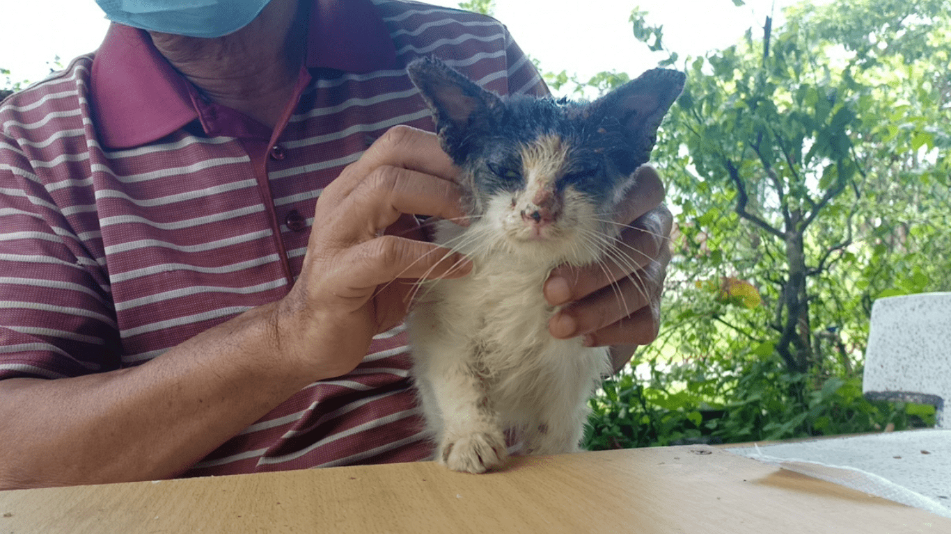 Kurap scabies yang belum tebal. boleh guna krim S3 Dicadangkan guna Krim S3