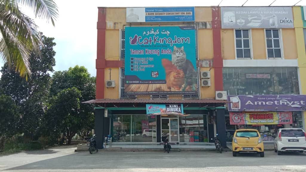 Cat Kingdom PEt house Alor lintang, Besut