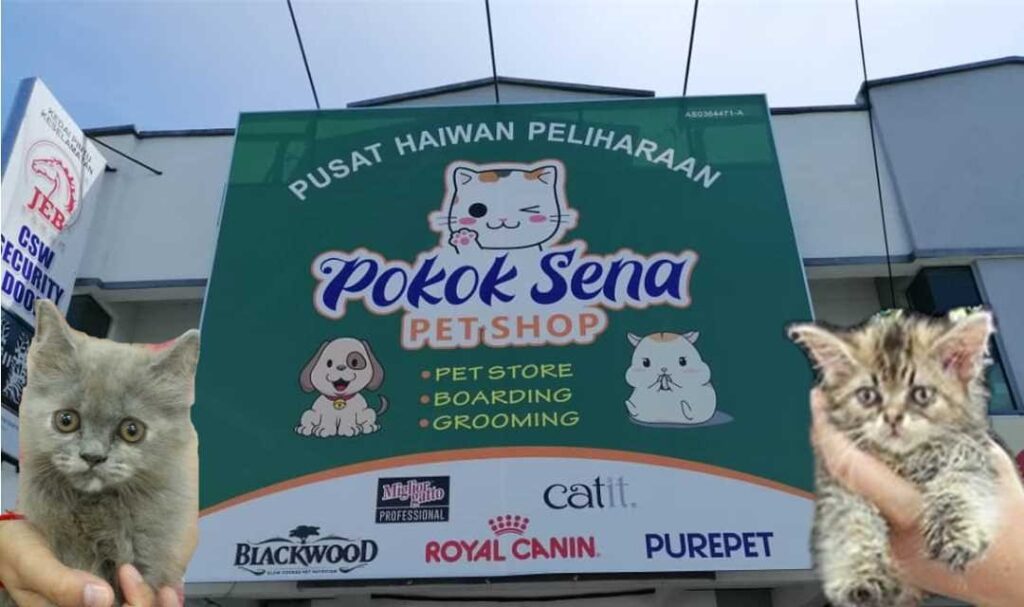 Pokok Sena Pet Shop