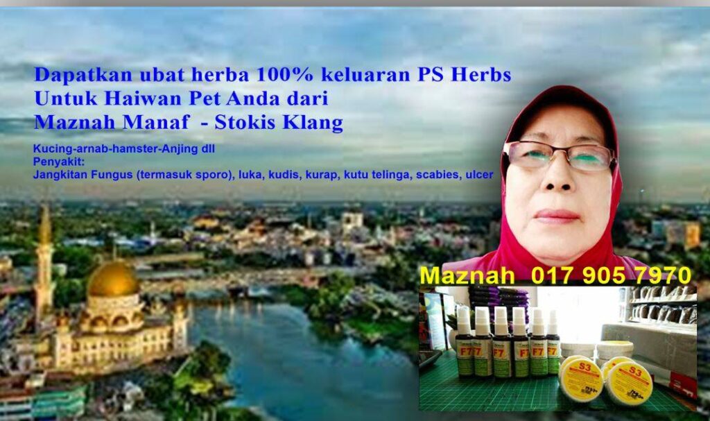 Maznah Manaf stokis di Bandar Baru, Klang  stokis PS Herbs