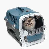 pet carrier 2