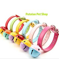 pet collar