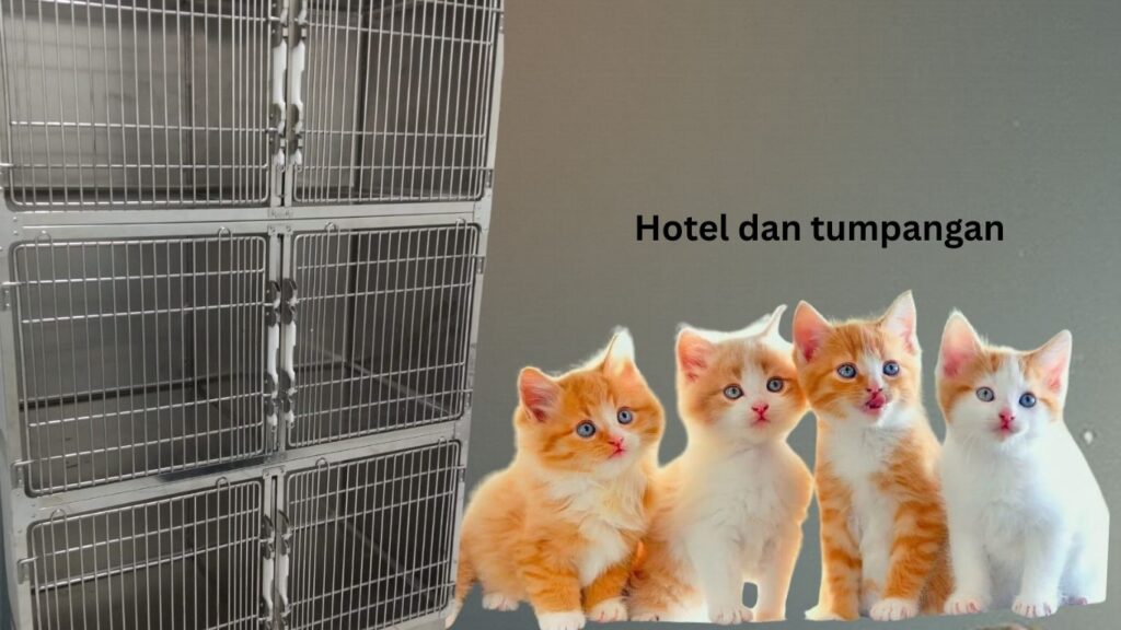 Kelinik veterinar DrVET menyedikan ruang hotek dan tumpangan  yang selesa