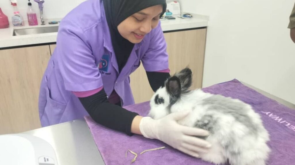 DrVET - rawatan haiwan ternak