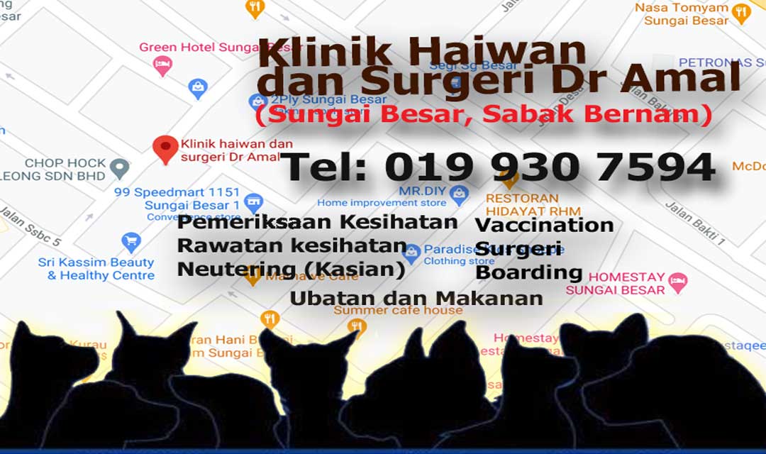 Klinik haiwan dan surgeri Dr Amal, Sungai Besar  PS Herbs 