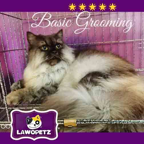 Hanta pet anda le Lawopetz untuk grooming pet anda