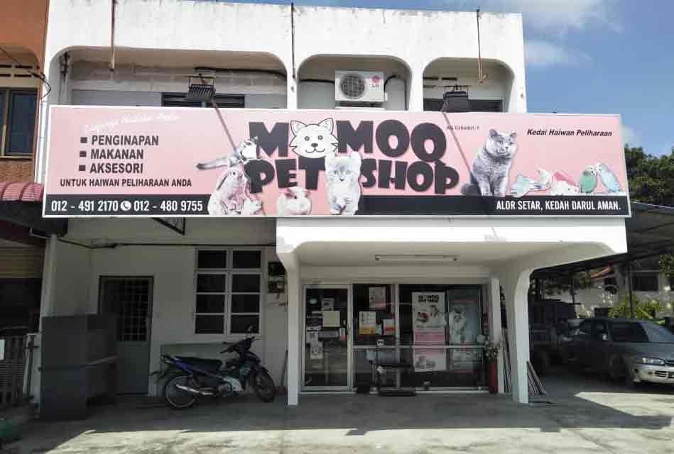 Momoq pet shop di alor star kedah