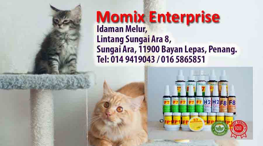 Momix Enterprise stokis ps herbs