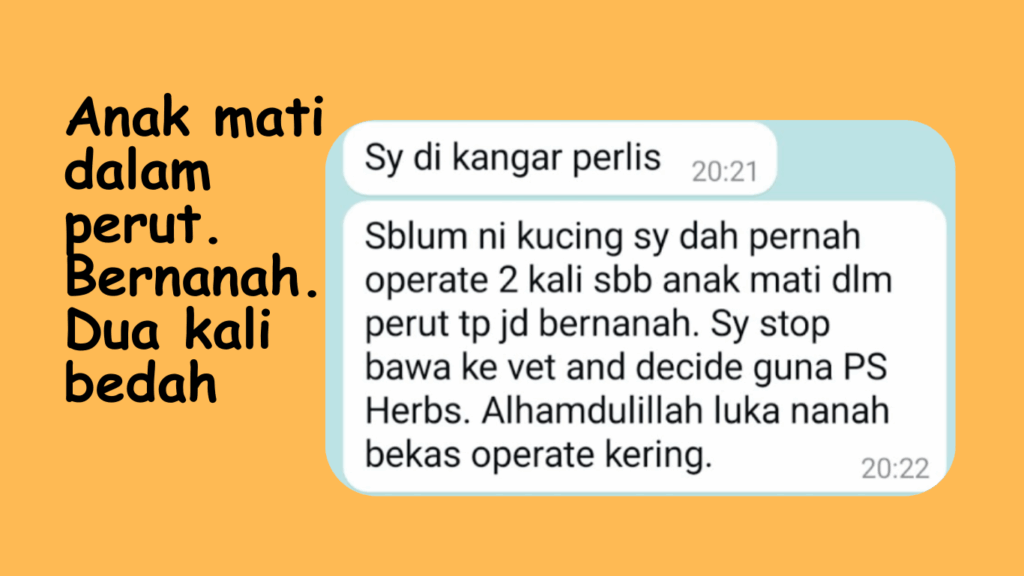 Anak mati dalam perut dan dan dibuat pembedahan, namun telah berlaku jangkitan kuman dan dibedah lagi, namun tidak sembuh.  