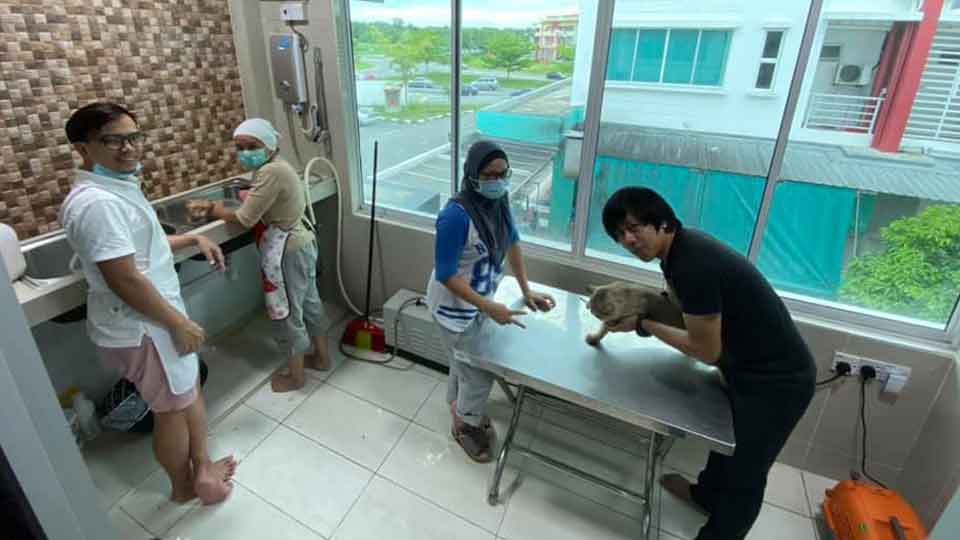 Perkhidmatan SPA di Raymzi's PEt Planet