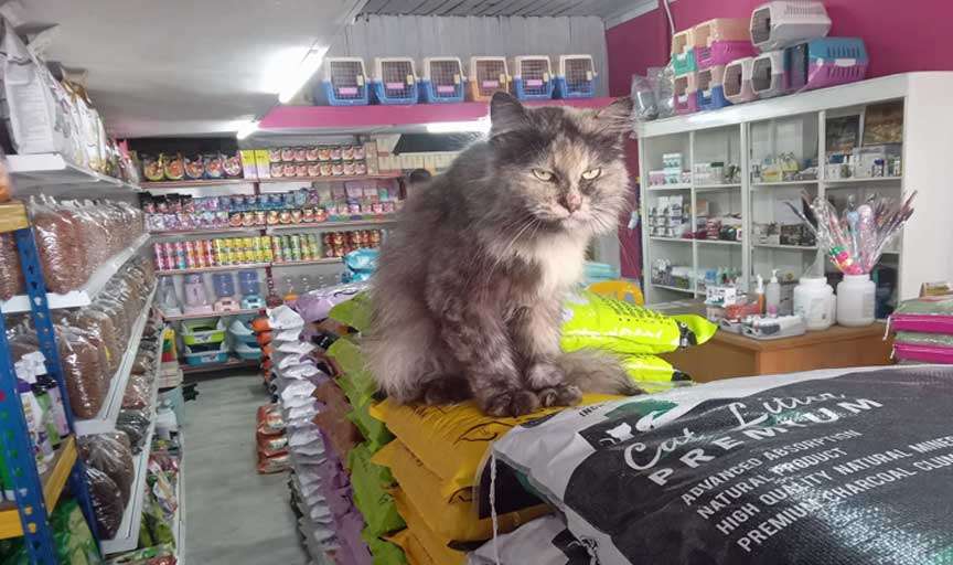 Selamat datang ke MJ PEtshop. One stop centre keperluan pet anda