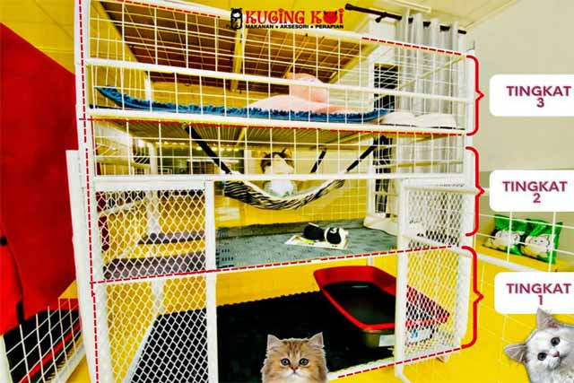 Temoat kucing berehat di hotel kucing di kedai kucing koi