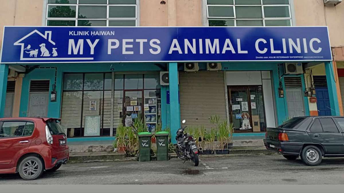 My Pets Animal Clinic My Pets Animal Clinic