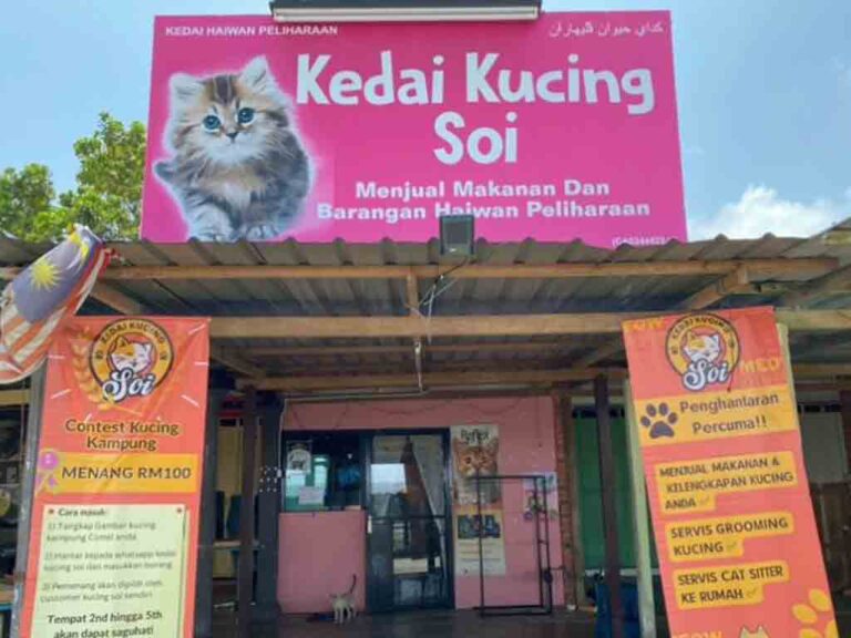 Kedai Kucing Soi stokis PS Herbs di Kuantan