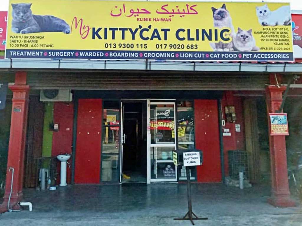 Kittycat Clinic Kota bharu, kelantan