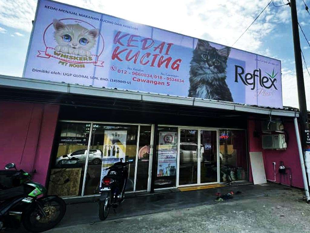 Whiskers pet house di Bachok, Kelantan ada jual ubat PS Herbs untuk merawat haiwan seperti kucing, arnab, ayam, burung dan lain-lain haiwan peliharaan.
