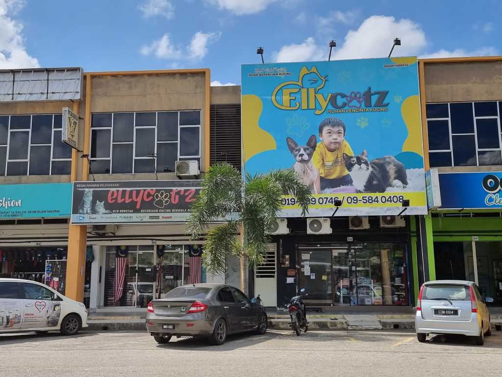 Kedai Kucing Elly Catz di Balok pahang. One stop centre untuk anak bulus anda