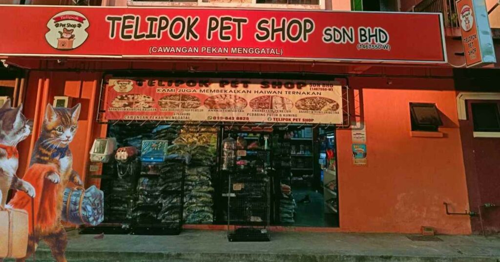 Telipok Pet Shop Menggatal. One Stop centre untuk pemilik pet. Semua ada di sini