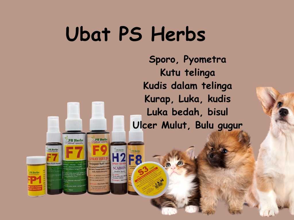 Ubat PS Herbs ada dijual di Telipok Pet Shop jalan Telipok, Tuaran Sabah.