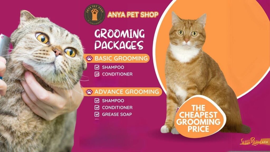 Pilih pekej Groomming mengikut keperluan.