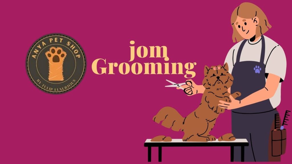Perkhidmatan grooming 