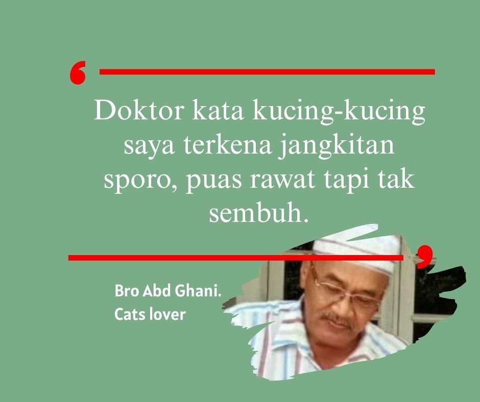 Vet kata kucingnya terkena penyakit sporo, rawat tetapi tidak sembuh.