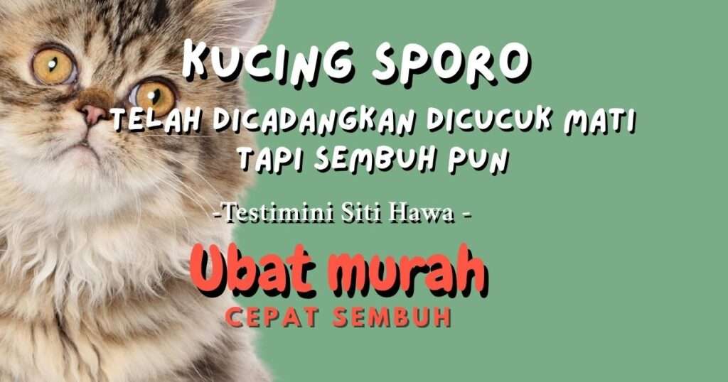 Kucing terkena penyakit sporo. Doktor kata tiada harapan untuk untuk sembuh.