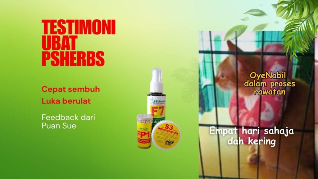 Testimoni daripada puan Sue Johoi Baharu. Kucing berkudis dan berulat