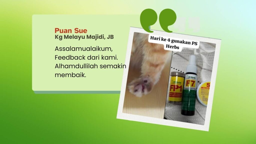 lapuran oleh puan sue