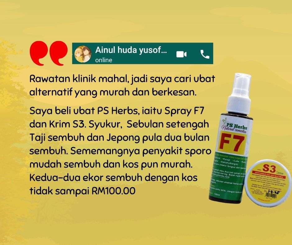 Testimoni merawat kucing sporo oleh Puan Ainul. Dua bulan sahaja dan sembuh.