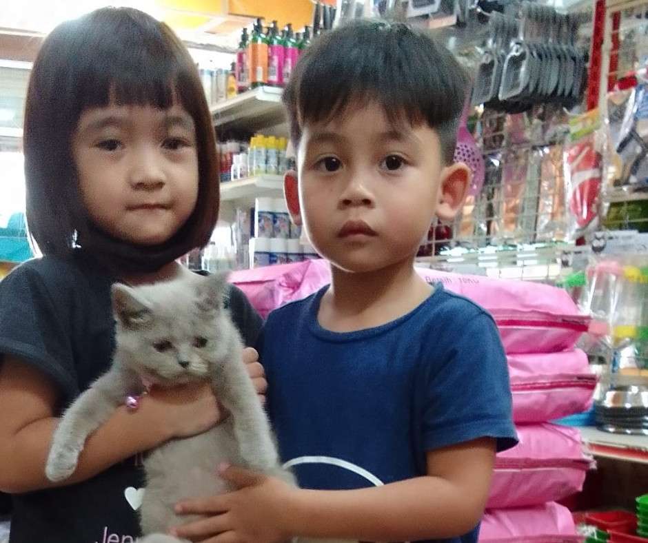 Dapatkan keperluan haiwan pet anda di Hezza Pet Store. Macam macam ada.
