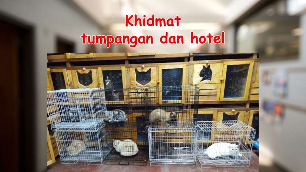 Hezza pet store menyediakan khidmat hptel tumpangan pet  yang selesa. 