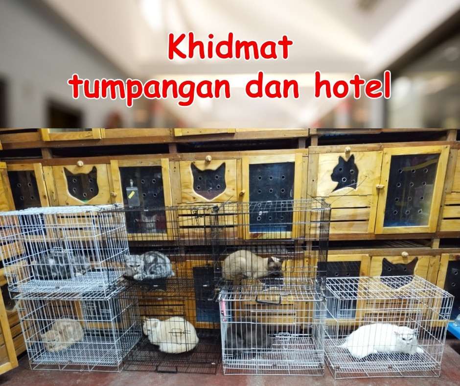 Hezza pet store menyediakan khidmat hptel tumpangan pet yang selesa.