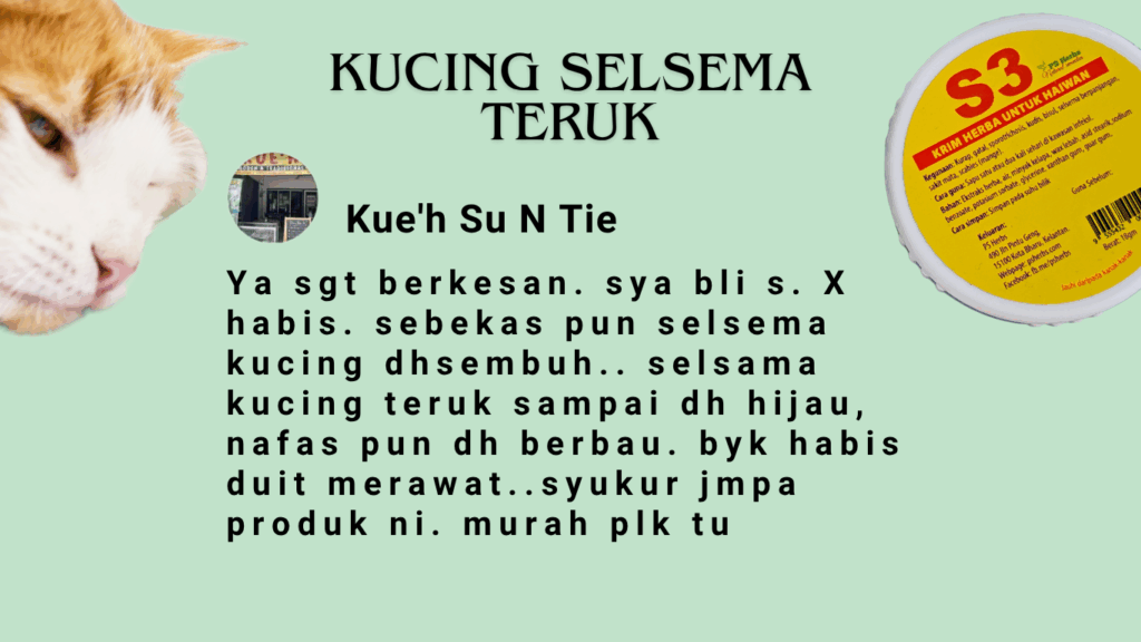 Kucing selsema teruk dan pelbagai usaha telah dibuat tetapi tidak sembuh sehinggalah terjumpa ubat PS Herbs